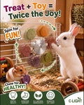 C-LIGHT Guinea Pig Chew Toys, Rotating Spinner + 8 Pcs Timothy, 5 Veggies