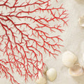 Piutouyar 2 Pcs Sea Fan Coral Decorations, Red, 11.8inch & 6.7inch