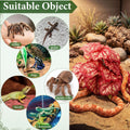 Suncalla 4 Pack Reptile Plants for Terrarium