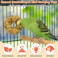 Fhiny 4 PCS Parakeet Treats, Donut Shaped Natural Grain Cockatiel Food with Fruits Vegetables Flowers and Herbs Bird Chew Toys for Parrot Conure Lovebird Training Rewards and Beak Grinding