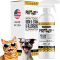 P*SS OFF+ All Purpose Stain and Odor Remover - Professional Strength Cat Pee Odor Eliminator (32oz - No Black Light)