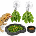 Bearded Dragon Food Bowl Set with Veggie Clips, Shallow Salad Dish