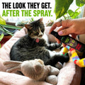 Smokey's Stash Catnip Spray for Cats – Premium Catnip Oil Spray, Maximum Potency Cat Attractant for Toys, Scratchers & Training – Safe for Kittens & Adult Cats (2 oz) Made in USA