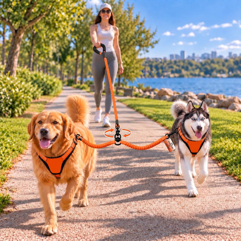 No Tangle Double Dog Leash: 95% Fewer Stops to Untangle for Walking 2 Dogs