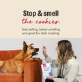 The Honest Kitchen Whole Grain Goat’s Milk N’ Cookies Dog Treats, Blueberry & Vanilla Recipe, Training Treats for Dogs, 