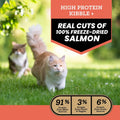 VICTOR Raw Kibble Blend - Salmon Freeze-Dried Dry Cat Food, 4 lb