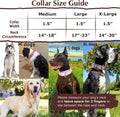 1.5 inch Skulls Martingale Collar for Dogs,Training Collar for Large Dogs