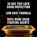 Tidy Cats Performance Plus Active Clean Scented Clumping Multi Cat Litter - 22 lb. Box