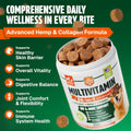Dog Vitamins and Supplements 250 Chews - 26 in 1 Dog Multivitamin Soft Chews with Glucosamine, Chondroitin, Probiotics, Omega 3 - Hip & Joint, Skin & Coat, Immune Support - Chicken Flavor