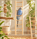 2 Pack Bird Ladder, Wooden Bird Ladder for Cage for Parakeets Parrots
