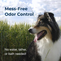 PetAg Fresh ’n Clean Cologne Spray - Baby Powder Scent - 6 oz - Controls Odor & Keeps Dogs Smelling Fresh