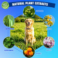 Dog Repellent for Yard, Dog Repellent Outdoor & Indoor, 10 Packs