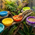 7 Pack Crested Gecko Food and Water Bowl, Eudimysx Reusable Small Reptile Feeding Dish, Gecko Tank Accessories for Hermi
