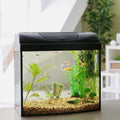 Aquarium Gravel 10 lbs, 3-6mm Fish Tank Gravel, Succulent Cactus Pea Gravel for Indoor Plants, River Rocks for Gardening