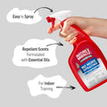 Nature's Miracle Advanced Platinum No More Spraying Training Spray, 24 oz