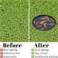 JJUNW 5 Pcs Aquarium Floating Plant Corral, Fish Feeding Ring Fish Tank Aquarium Floating Plants Barrier, 5 Sizes of Flo