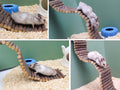 Rat Ladder Bridge, Wooden Hamster Climbing Ladder Toy, Small Animals Cage Accessories for Bird Parrot Hamster Mouse Rat Sugar Glider Hermit Crab Sugar Glider Chinchilla(23.62x3.14 Inches)