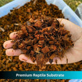Premium Coconut Chip Substrate for Reptiles – 10 LB Block in Carton Box, Expands to 72 Quarts – Natural & Dust-Free Coco