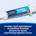 Farnam Probiotic Paste Horses in Syringe Supports Healthy Microbial Balance