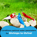JOR Calcium Rocks for Shrimps, Color Enhancing Breeding Hideout, 1.7 oz