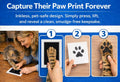 OtterPets Cat Urn for Ashes, 4 Customizable Displays with Paw Print Ink Kit, 6.5x6.5x4.0, Flannel Bag, Pet Urns for Cats Ashes, Pet Urn for Cat Ashes, Pet Ashes Keepsake