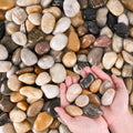 River Rocks for Plants 11.25 LB Small Decorative Pebbles 1"-1.5" Polished Stones Smooth Aquarium Gravel for Fish Tank Va