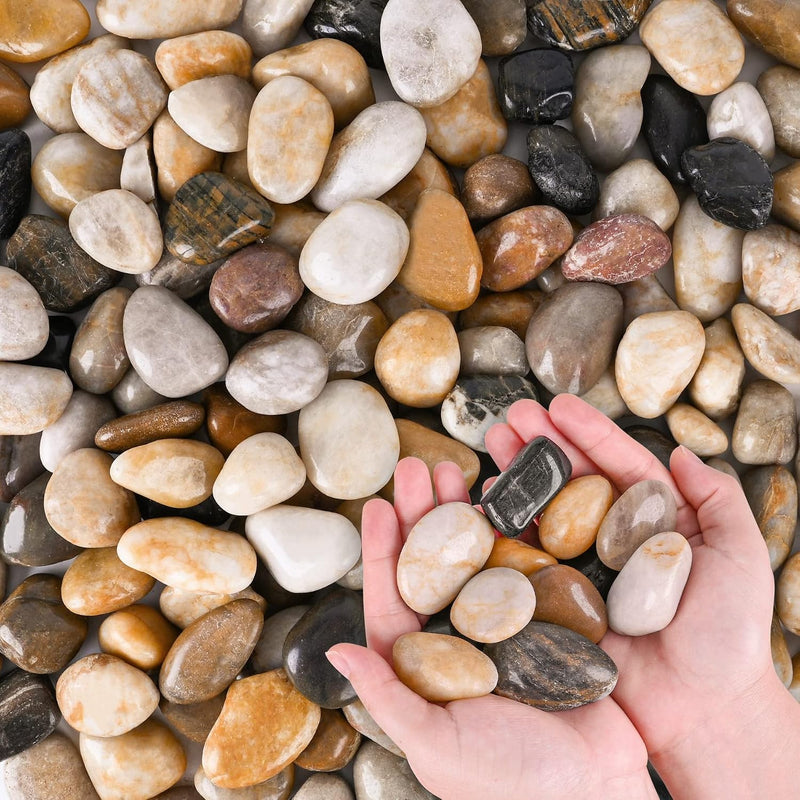 River Rocks for Plants 11.25 LB Small Decorative Pebbles 1