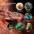 Reptile Glass Tank 20"*12"*10" Pre-Assembled Terrarium for Turtle,Hermit Crab,Bearded Dragon,Gecko,Lizard,Snake,Spider,F