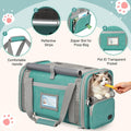 Soft Cat Carrier for Pets Up to 20 Lbs, Collapsible Cat Carrier Bag with Privacy Curtains, Airline Approved Small Pet Carrier for Small Medium Cats Dogs Puppy, Washable Soft Pet Travel Bag Dog Carrier