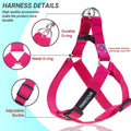 No Pull Dog Harness, Leash & Collar Set, Adjustable Step-in Vest