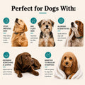 Natural Dog Company Sensitive Skin Dog Shampoo – Hypoallergenic Oatmeal Anti Itch Shampoo for Dogs, Gentle Puppy & Dog Wash with Aloe Vera, Manuka Honey & Chamomile, Odor Control, 12 oz