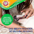 Arm & Hammer Complete Care Brushless Oral Dog Gel, Peanut Butter, 4 Oz