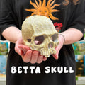 CTWPets Aquarium Human Skull Decor for Betta Fish, Sinking Hide Shrimp Hide