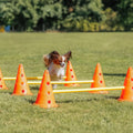 TRIXIE Dog Agility Hurdle Cone Set – 6 x Cones, 3 x Agility Rods