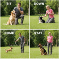 2 Pack Adjustable Ultrasonic Dog Whistles, Silent Dog Training Whistles for Recall & Behavior Guidance, with Lanyard (Bl