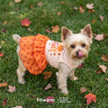 Fitwarm I Love Fall Dog Dress, Thanksgiving Outfit for Small Dogs Girl, Cute Pet Clothes, Orange, Beige