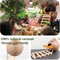 10PCS Crested Gecko Tank Accessories, Reptile Plants Bridge Vines, Coconut Shell with Ladder for Lizard, Chameleon Cage,