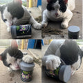Smokey's Stash Silvervine Haze Potent Catnip and Silver Vine Blend for Cats