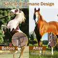 Horse Tie Ring, Safe Tie Horse Supplies, Humane Way Tie Ring, Magnetic Ring for Tying and Retracting, Helps Horse Pull B