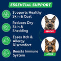 StrellaLab Fish Oil Omega 3 Treats for Dogs (180 Treats) - Allergy & Itch Relief - Skin & Coat Supplement - Joint Health - Wild Alaskan Salmon Oil - Shedding, Itchy Skin Relief - Omega 3 6 9 - EPA&DHA