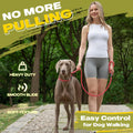 Fida Durable Slip Lead Dog Leash, 6 FT x 1/2" Dog Training Leash