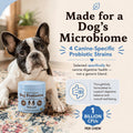 Natural Dog Company Probiotics for Dogs – Dog Probiotic Chews with 1B CFUs, Canine-Specific Microencapsulated Strains, Prebiotics & Enzymes for Digestive Health, Stool & Immune Support, 45 Ct