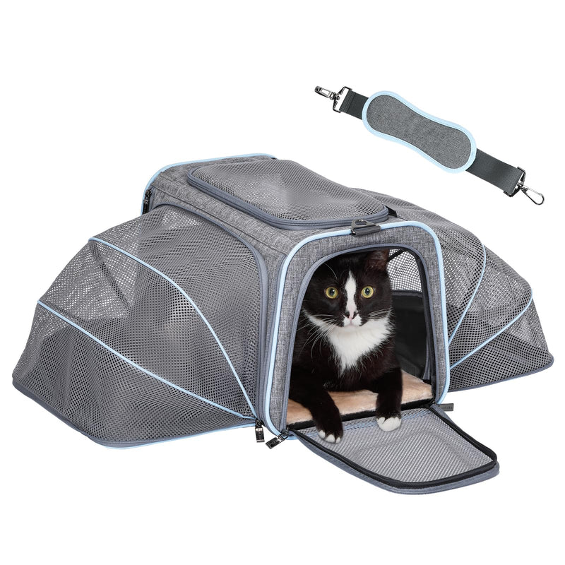 Petsfit Expandable Large Cat Carrier Small Dog Carriers Airline Approved, 17