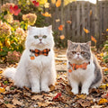 PTDECOR Fall Cat Collars with Bow, Thanksgiving Orange Plaid Cat Collars