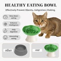 Ceramic Slow Feeder Bowl for Cats and Small Dogs, Elevated Tilted Pet Food Dish, Whisker Friendly Anti-Vomit Design, Hea