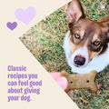 Wellness Old Mother Hubbard Classic P-Nuttier Dog Biscuits, Natural Training Treats, Peanut Butter Flavor, Large Size, 6