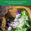 CoCoo Reptile Calcium Powder, Ideal for Leopard Geckos, Chameleons, Iguanas, Turtles, Chicken & Dog, Avoid Vitamin D3 Ov