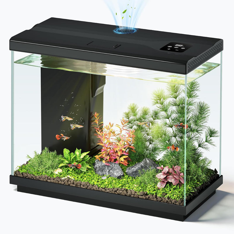 2.2 Gallon Small Fish Tank, Betta Fish Aquariums