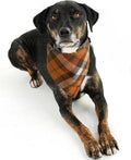 Realeaf Fall Dog Bandanas 2 Pack, Orange Plaid Pet Scarf for Boy and Girl, Premium Durable Fabric, Holiday Halloween Tha