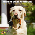 The Original Tick Key - Tick Detaching Device - Portable, Safe and Highly Effective Tick Detaching Tool (Black)